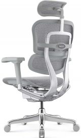Ergohuman Elite 2